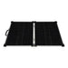 Lion Energy solar panel 100w 12v in black with handle open front view on white background
